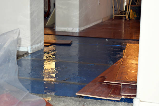 Professional Flood Cleanup technician working in Rockland, WI